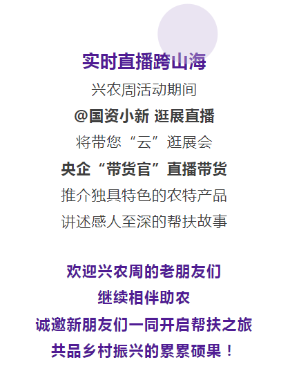 图片13.png